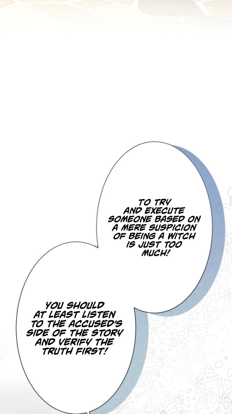 The Falsely Accused Villainess Can
