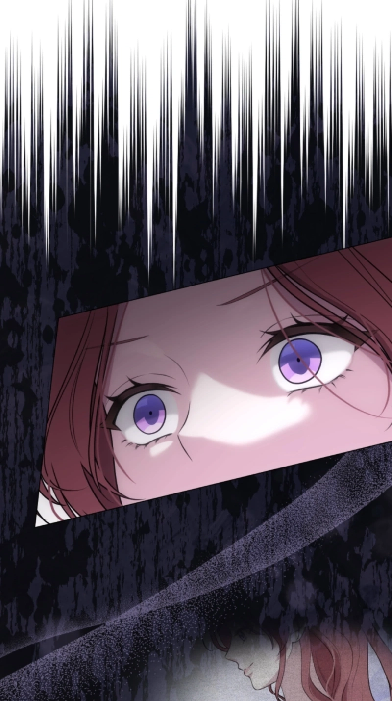 The Falsely Accused Villainess Can