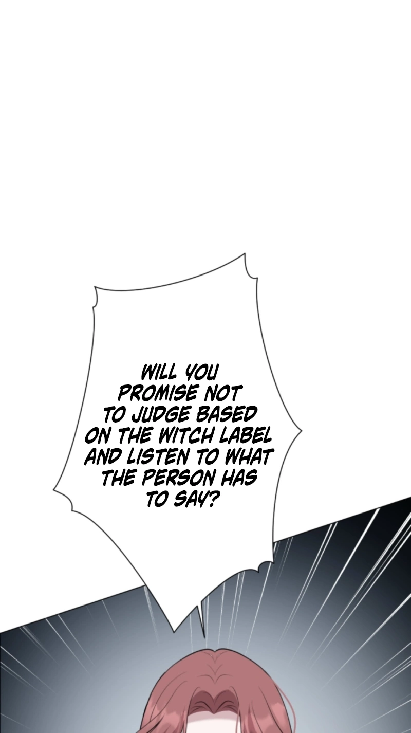 The Falsely Accused Villainess Can