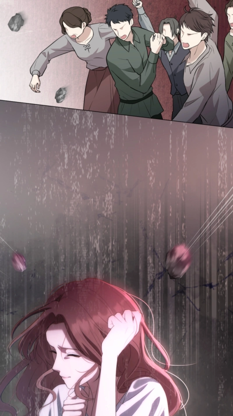 The Falsely Accused Villainess Can