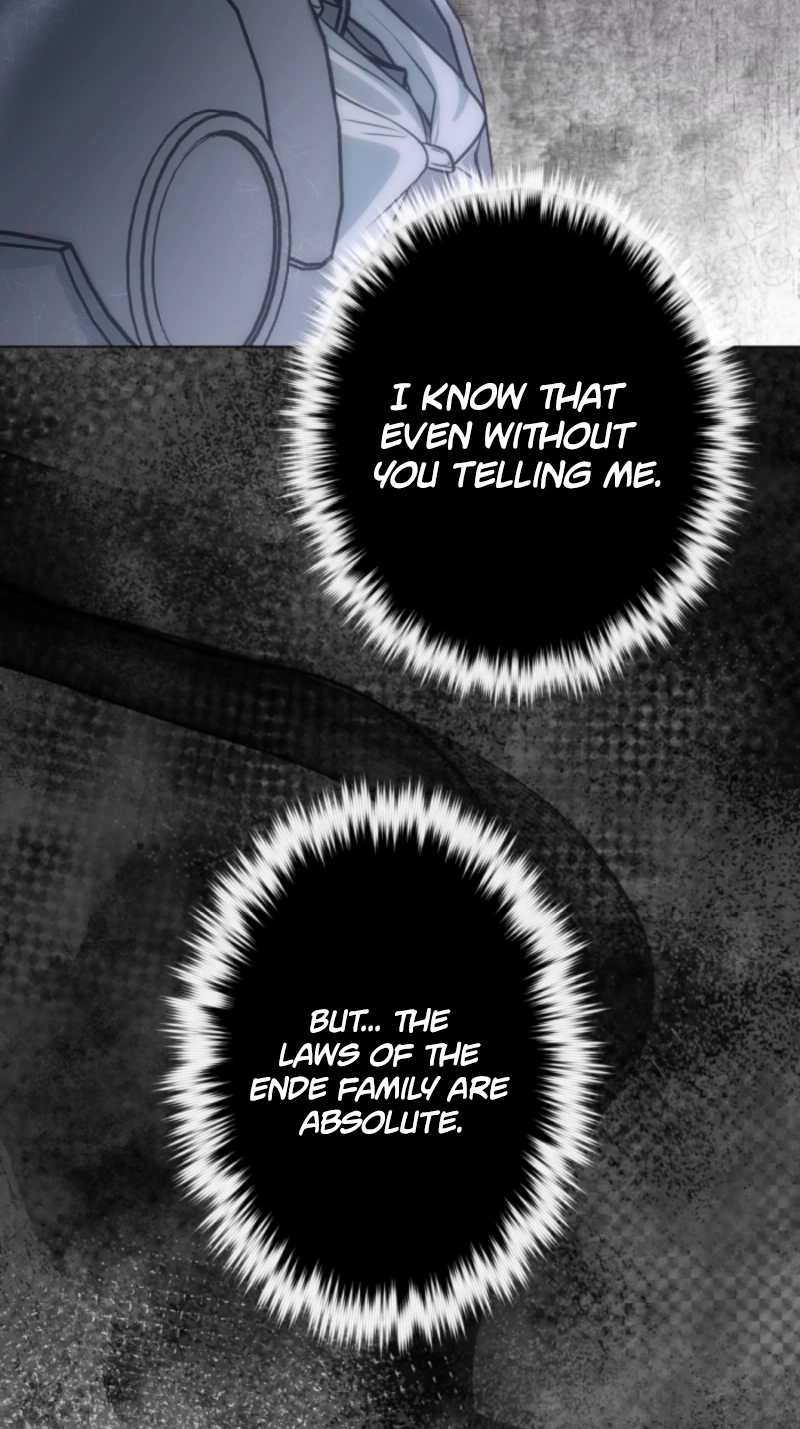 The Falsely Accused Villainess Can