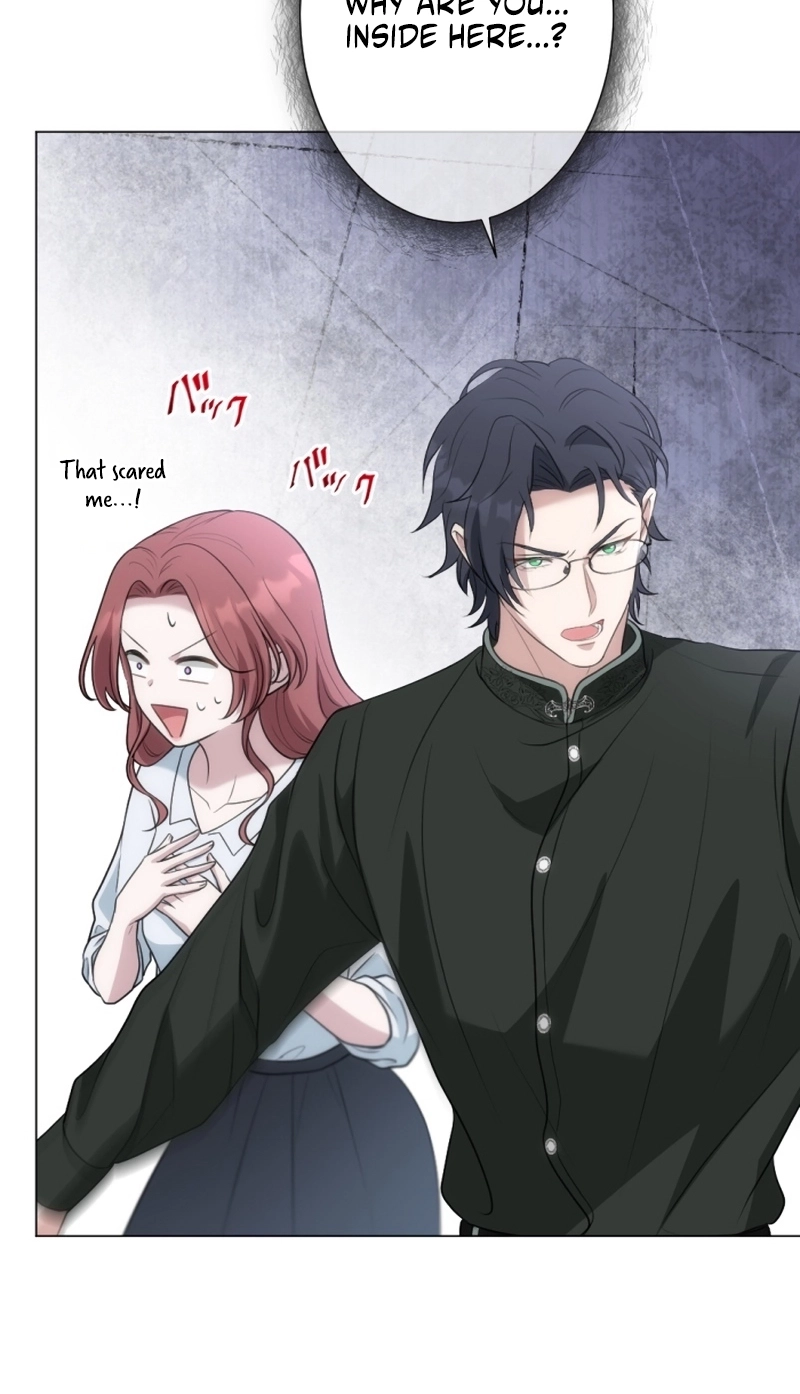 The Falsely Accused Villainess Can