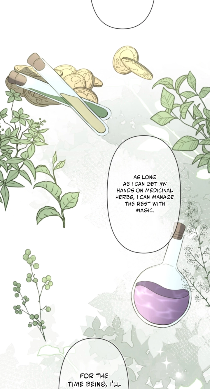 The Falsely Accused Villainess Can