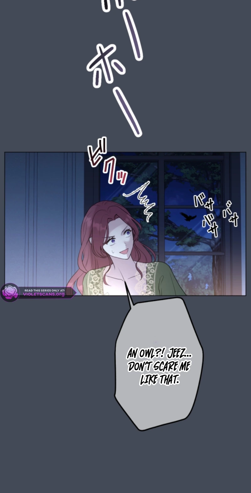 The Falsely Accused Villainess Can