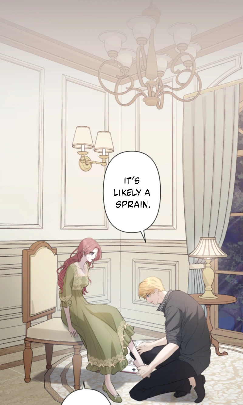 The Falsely Accused Villainess Can