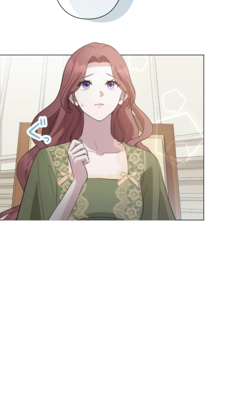 The Falsely Accused Villainess Can
