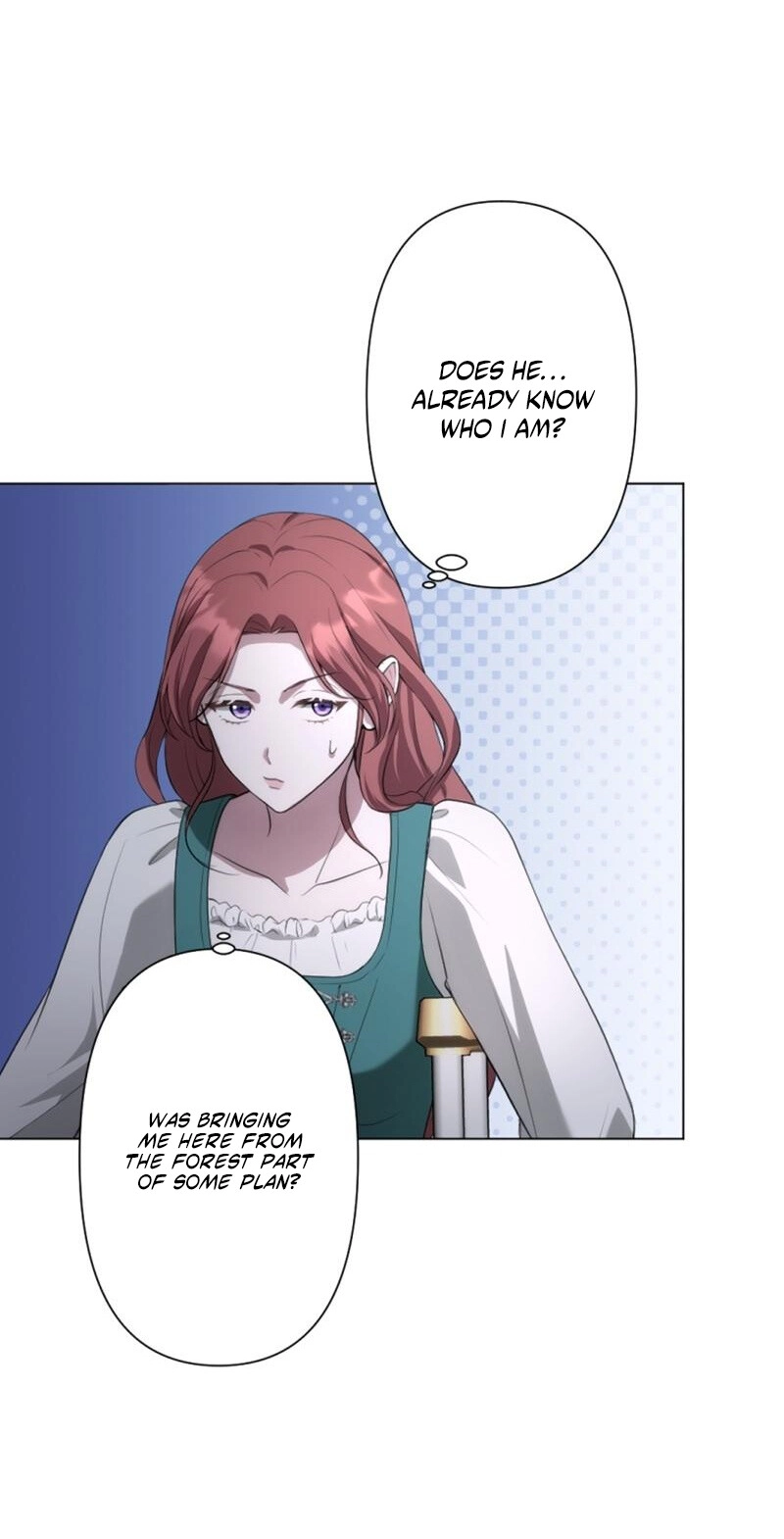 The Falsely Accused Villainess Can
