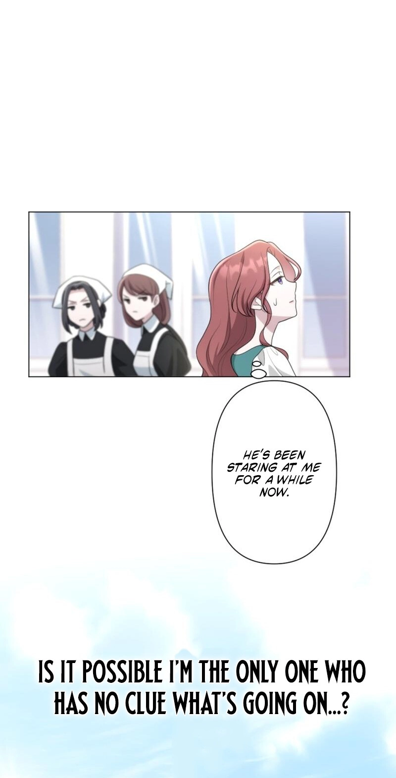 The Falsely Accused Villainess Can