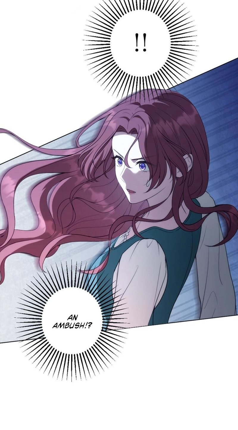 The Falsely Accused Villainess Can