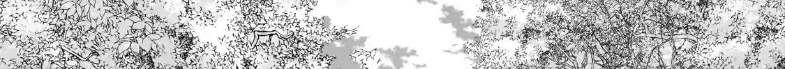 The Faraway Paladin Chapter 65.2 page 12 - 