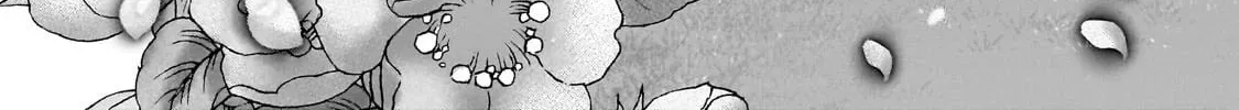 The Faraway Paladin Chapter 66.1 page 28 - 