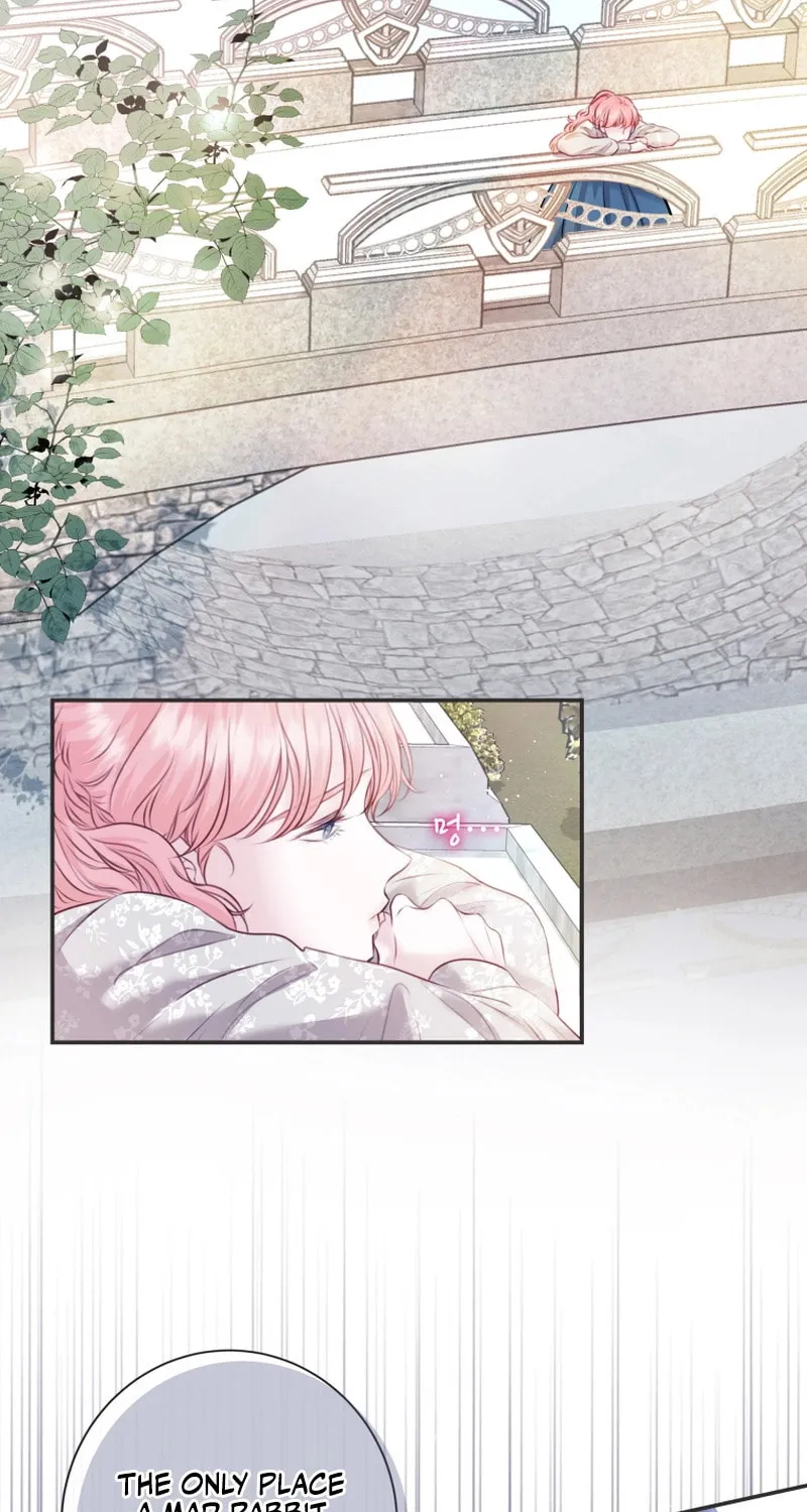 The Fate of the Perennial Sub Male Lead Is in My Hands Chapter 11 page 3 - 