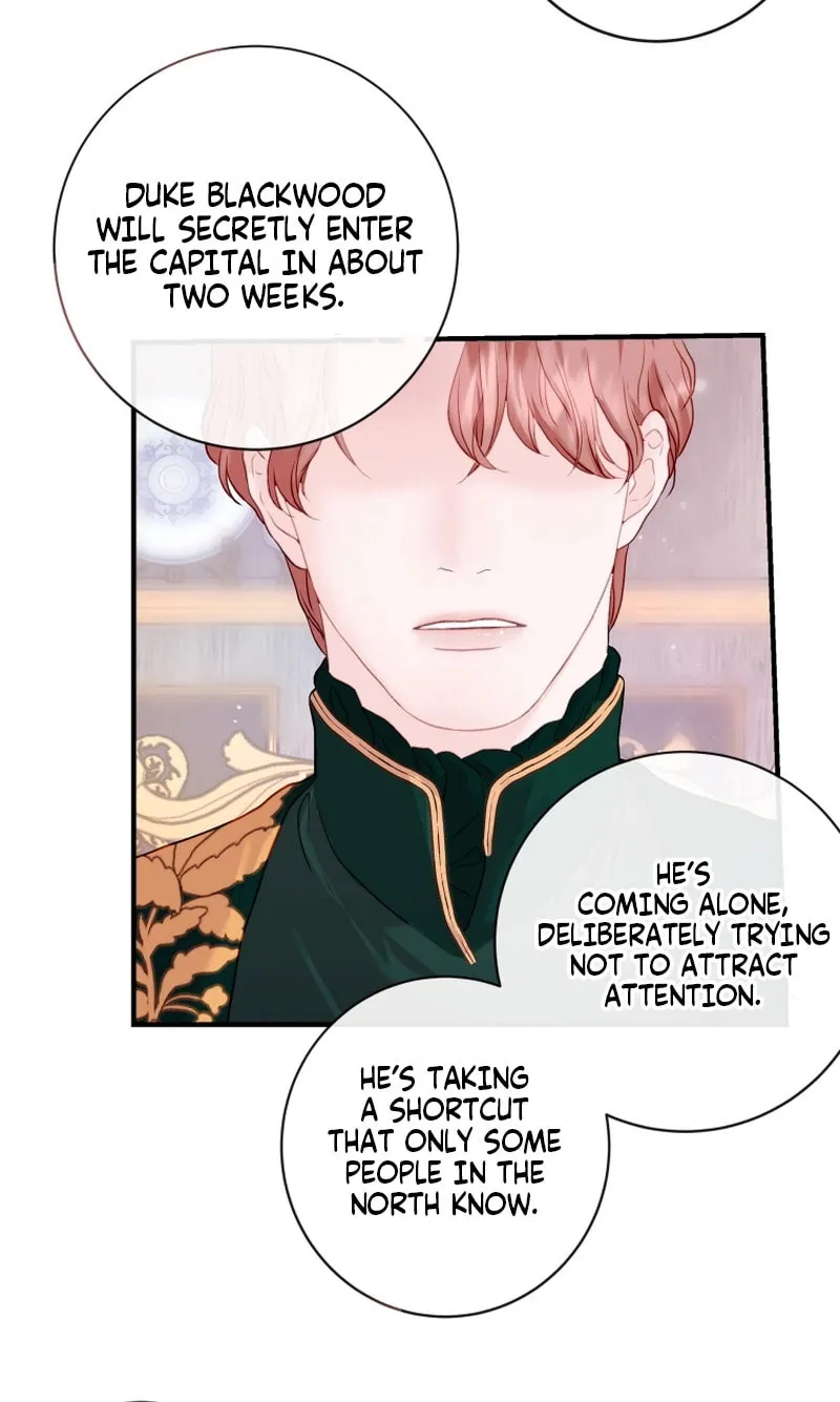 The Fate of the Perennial Sub Male Lead Is in My Hands Chapter 3 page 5 - 