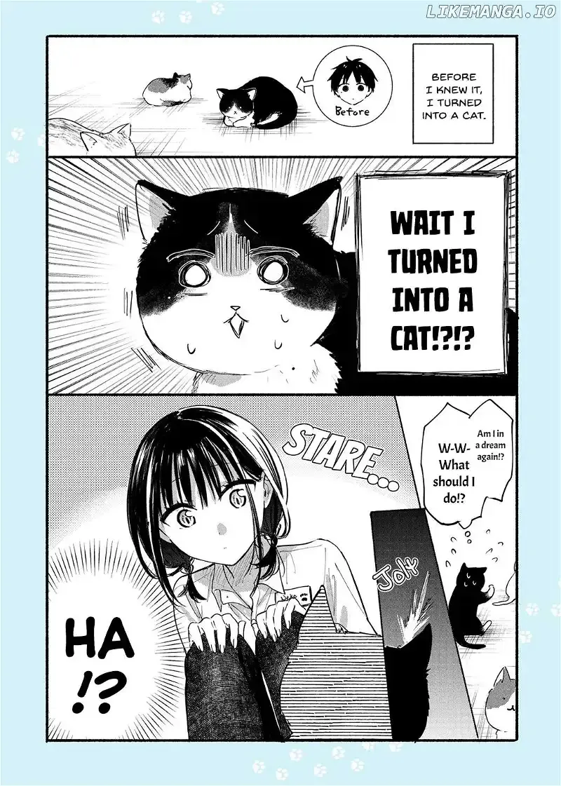 The Feline Neighbor and The Unversed Love Chapter 12.4 page 14 - 