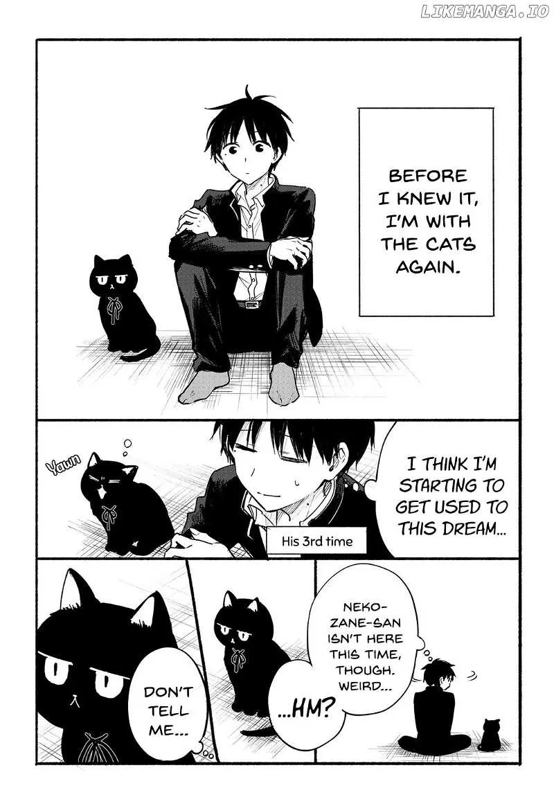 The Feline Neighbor and The Unversed Love Chapter 14.1 page 1 - 