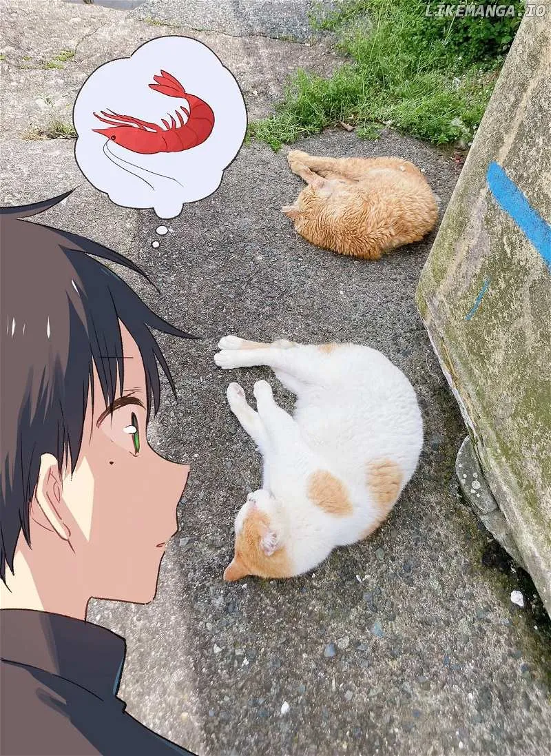 The Feline Neighbor and The Unversed Love Chapter 14.1 page 10 - 