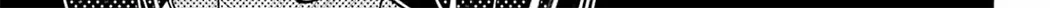 The Feline Neighbor and The Unversed Love Chapter 14 page 54 - 
