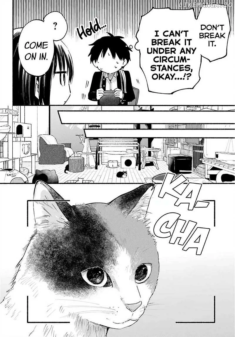 The Feline Neighbor and The Unversed Love Chapter 15 page 10 - 