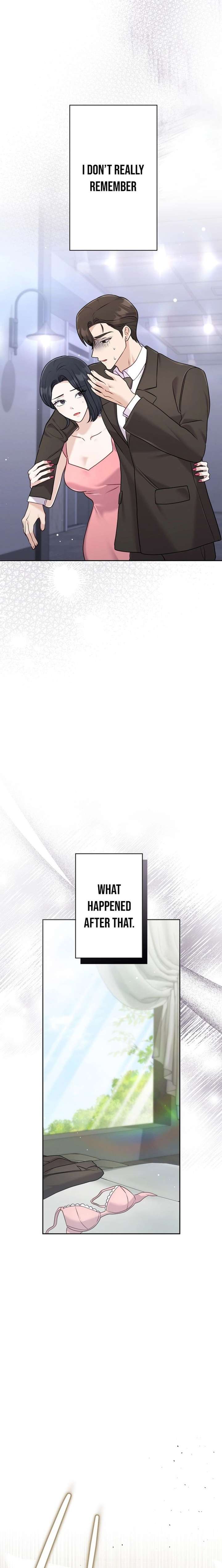 The Fiancé After the Rain Chapter 14 page 17 - 