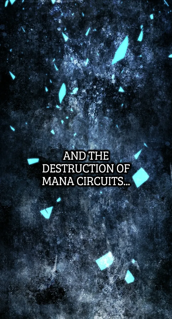 The Fistfighting Genius Mage Chapter 44 page 90 - 