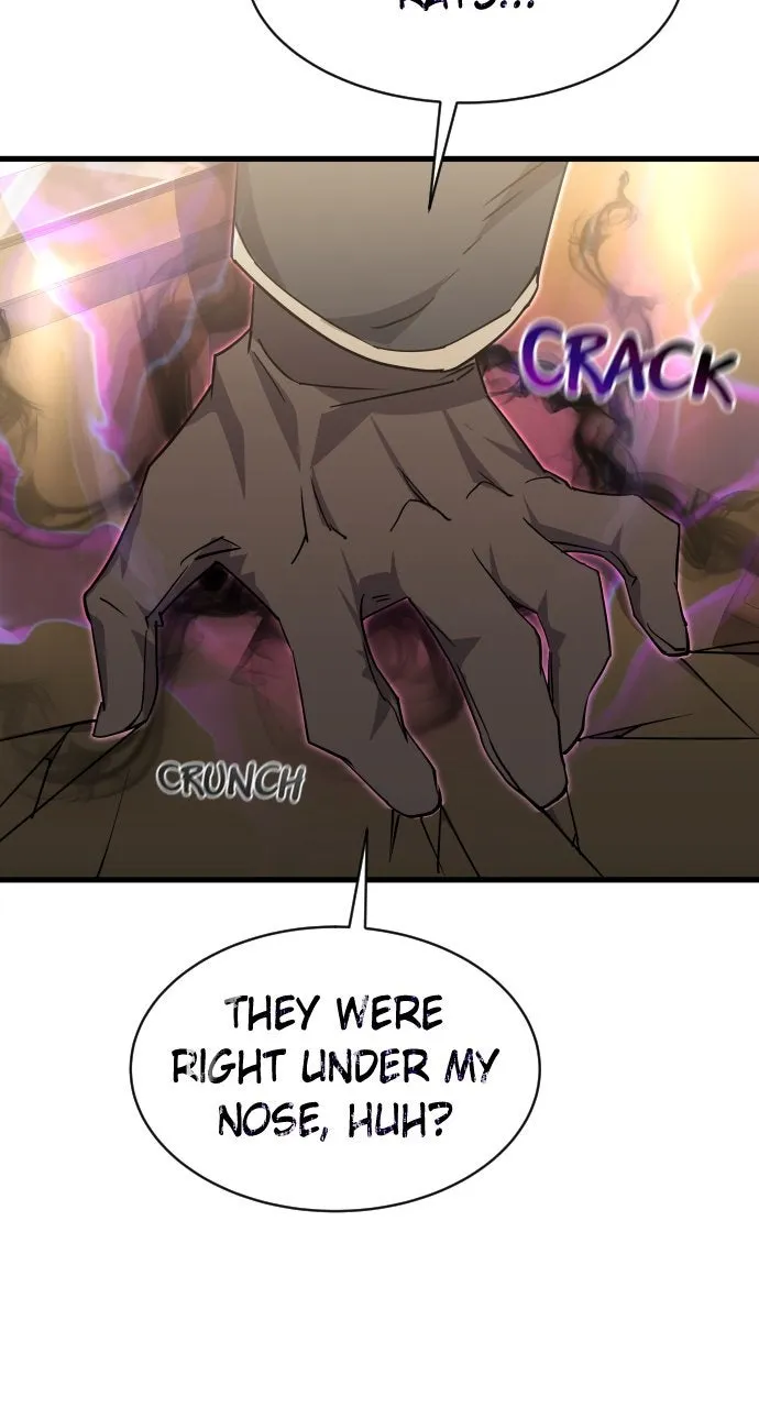 The Fistfighting Genius Mage Chapter 8 page 117 - 
