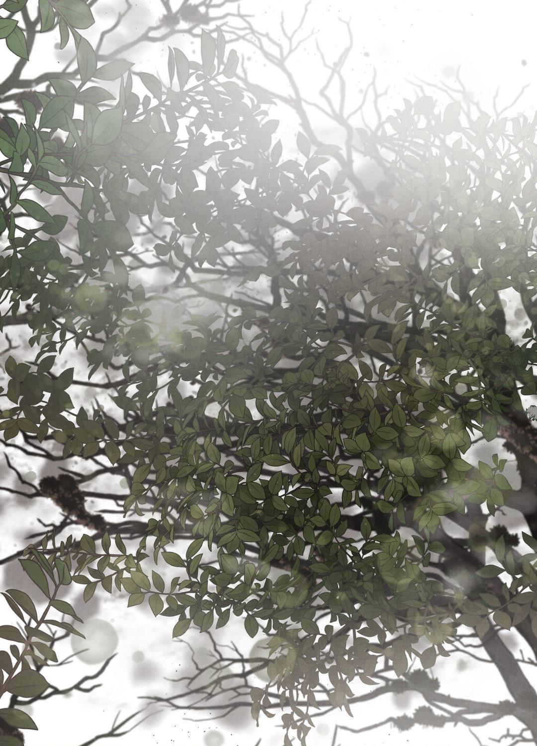 The Flower of Aloshya Chapter 1.3 page 15 - 