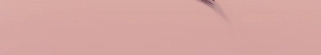 The Flower of Aloshya Chapter 17 page 161 - 
