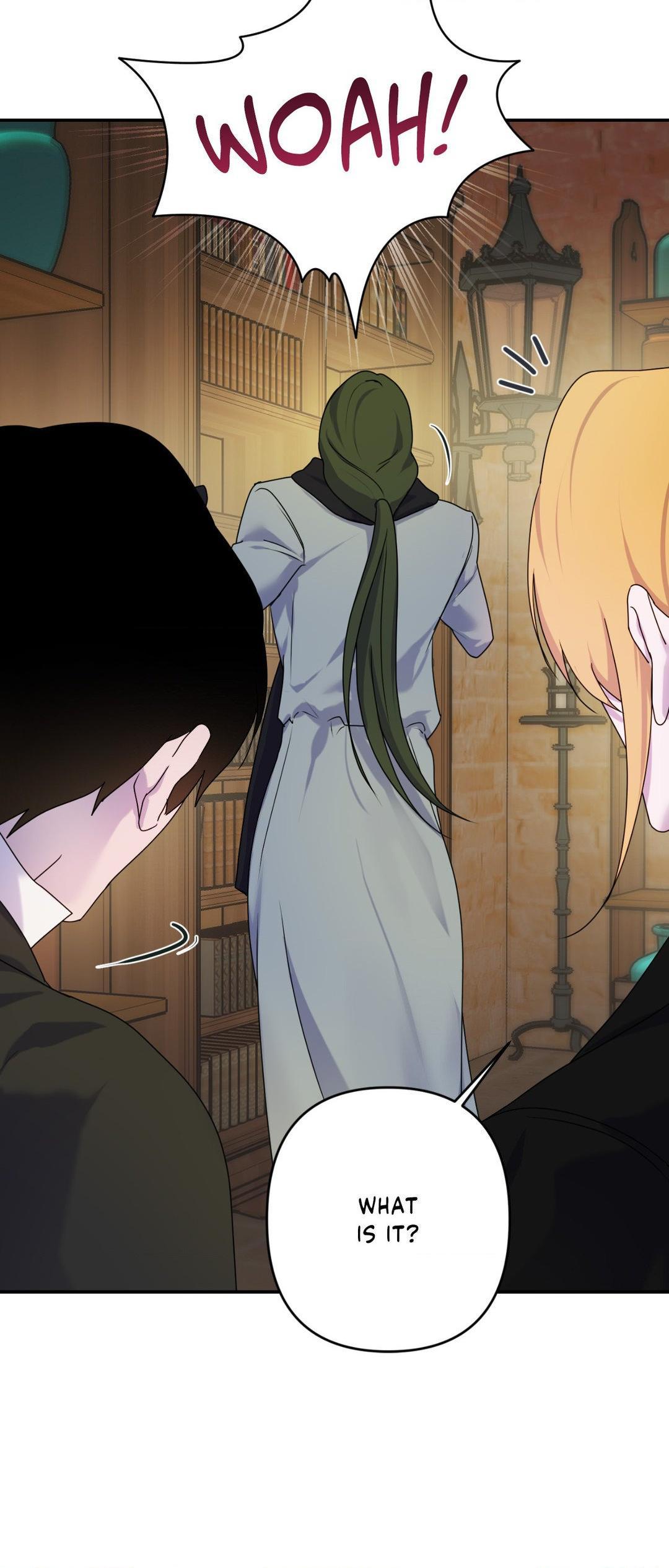 The Flower of Aloshya Chapter 2.5 page 40 - 