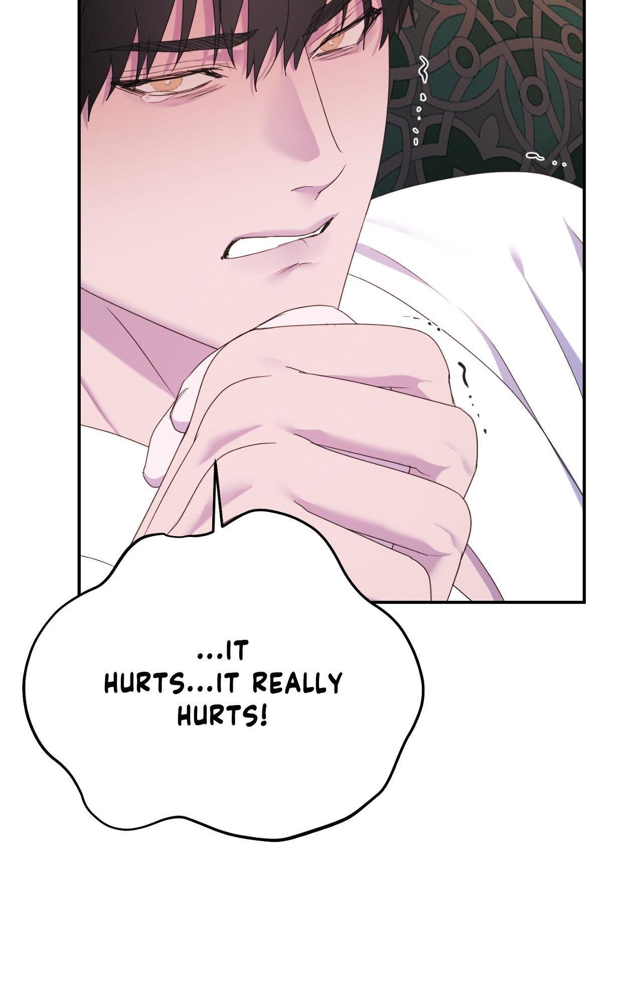 The Flower of Aloshya Chapter 2 page 27 - 