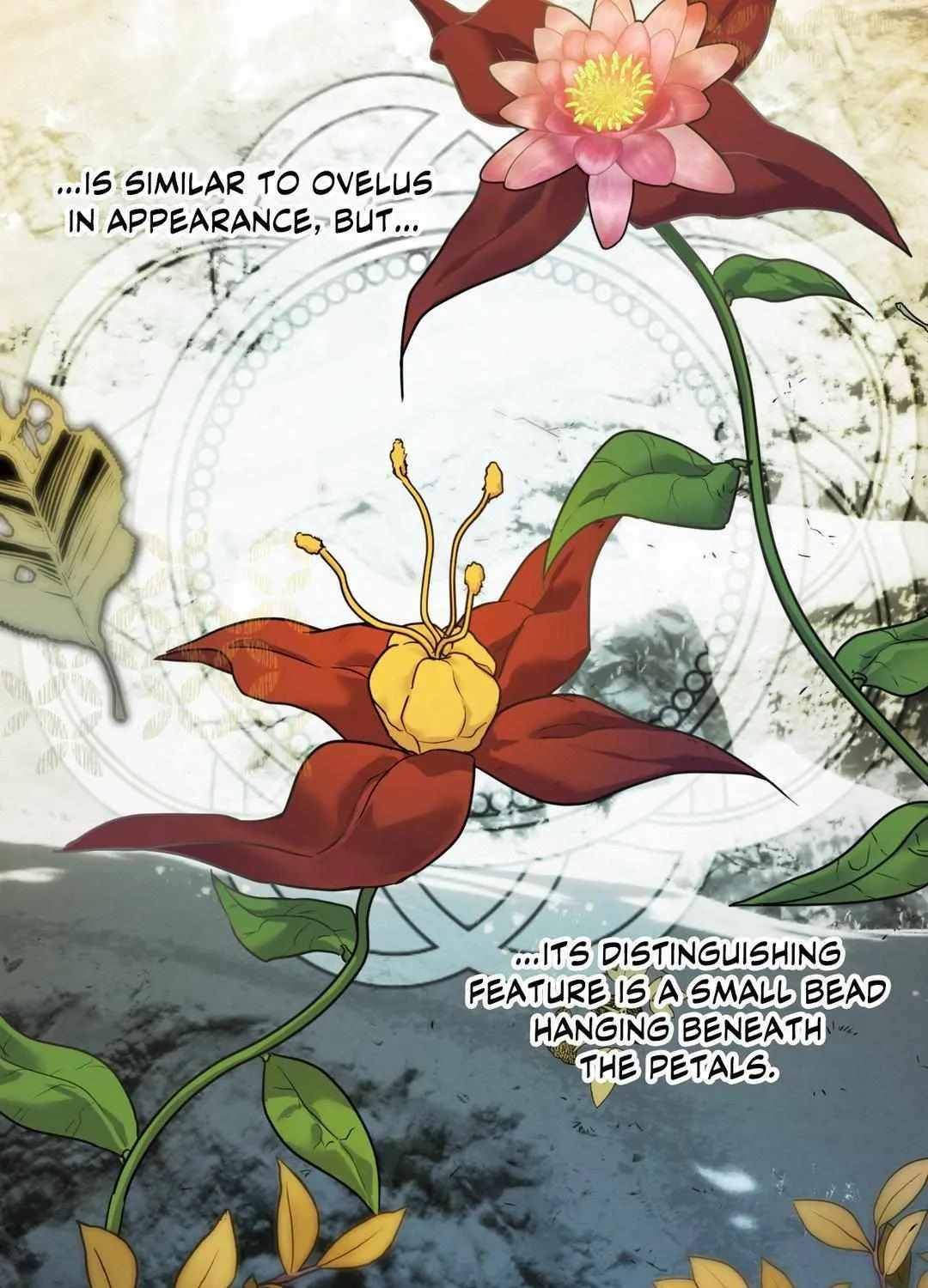 The Flower of Aloshya Chapter 21 page 96 - 