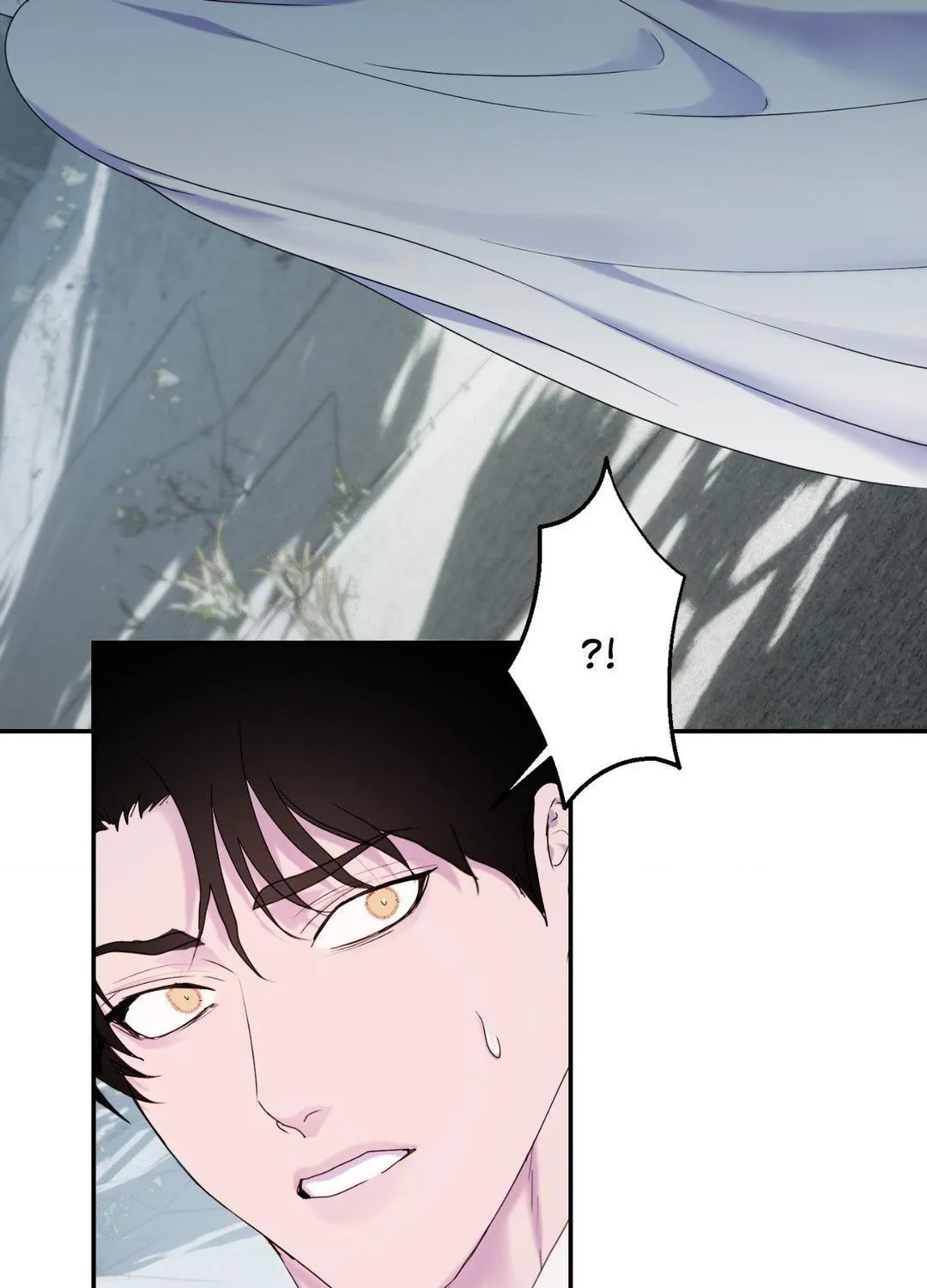 The Flower of Aloshya Chapter 25 page 79 - 