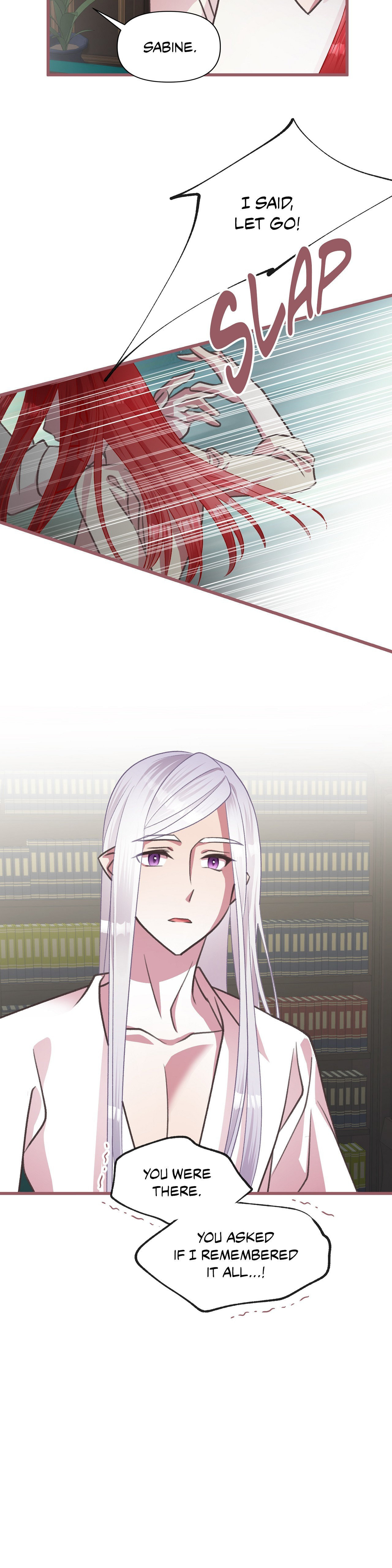 The Flower of Prencia Chapter 35 page 10 - 