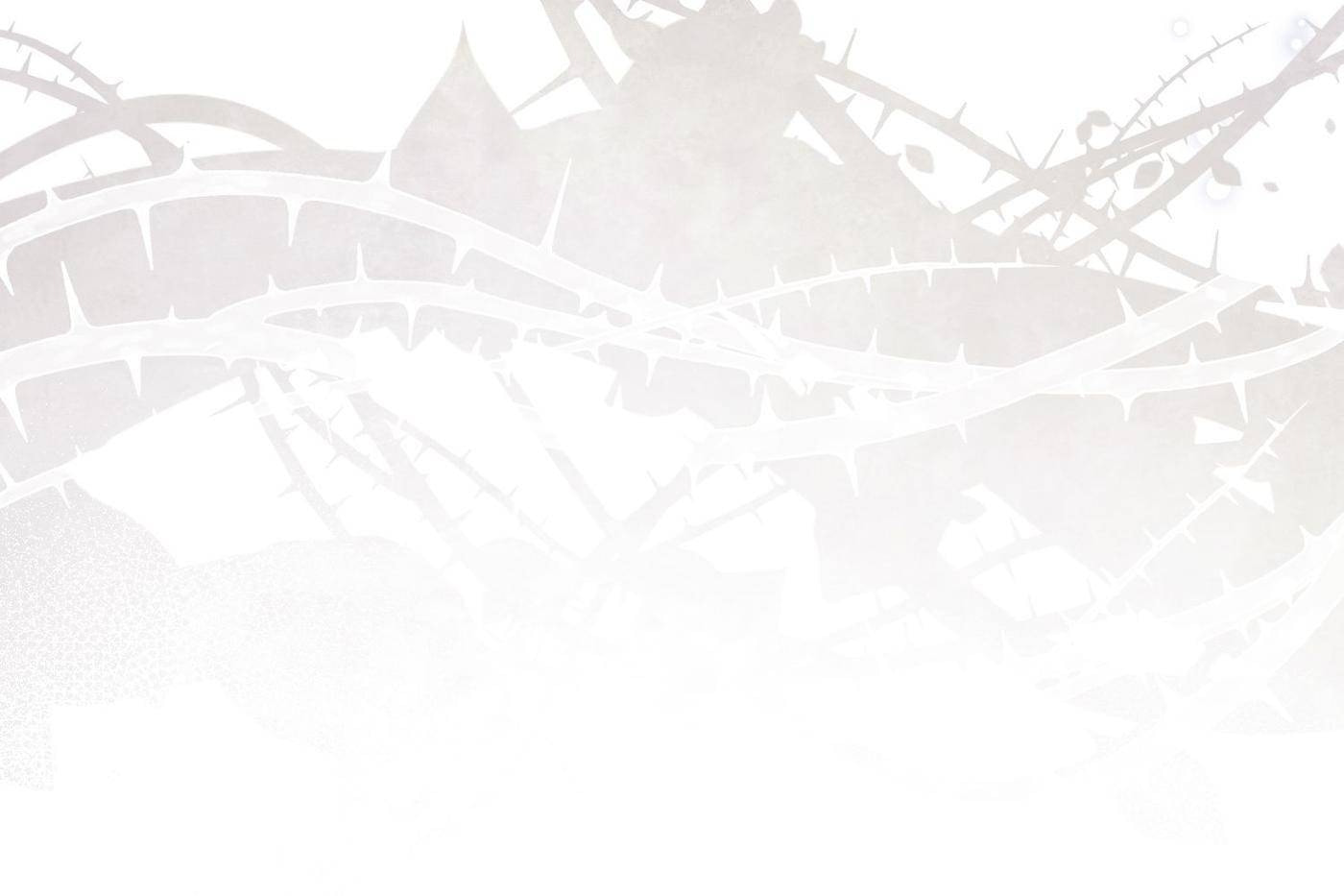 The Flower of Prencia Chapter 48 page 5 - 