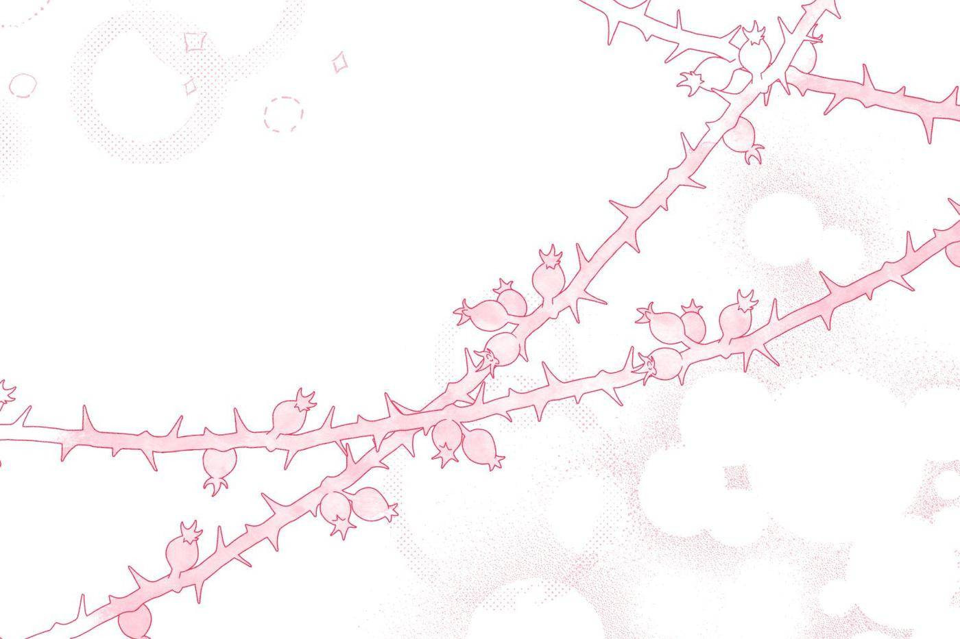 The Flower of Prencia Chapter 48 page 70 - 