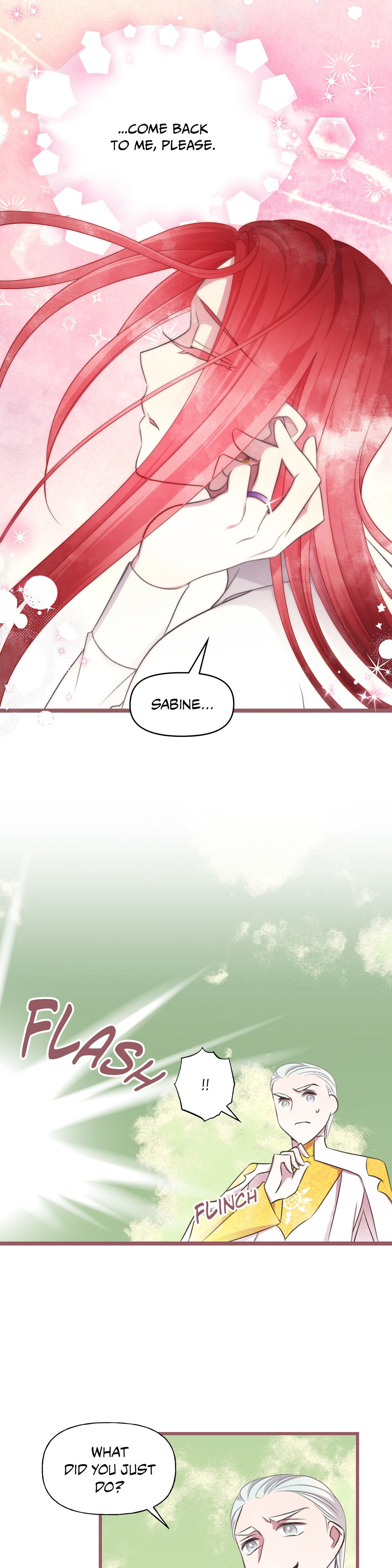 The Flower of Prencia Chapter 66 page 13 - 