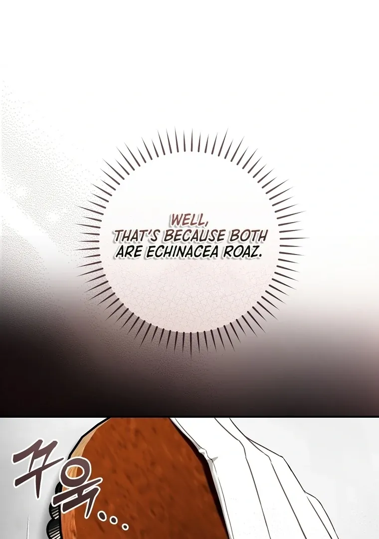 The Flower Who Bears The Sword Chapter 12 page 36 - 