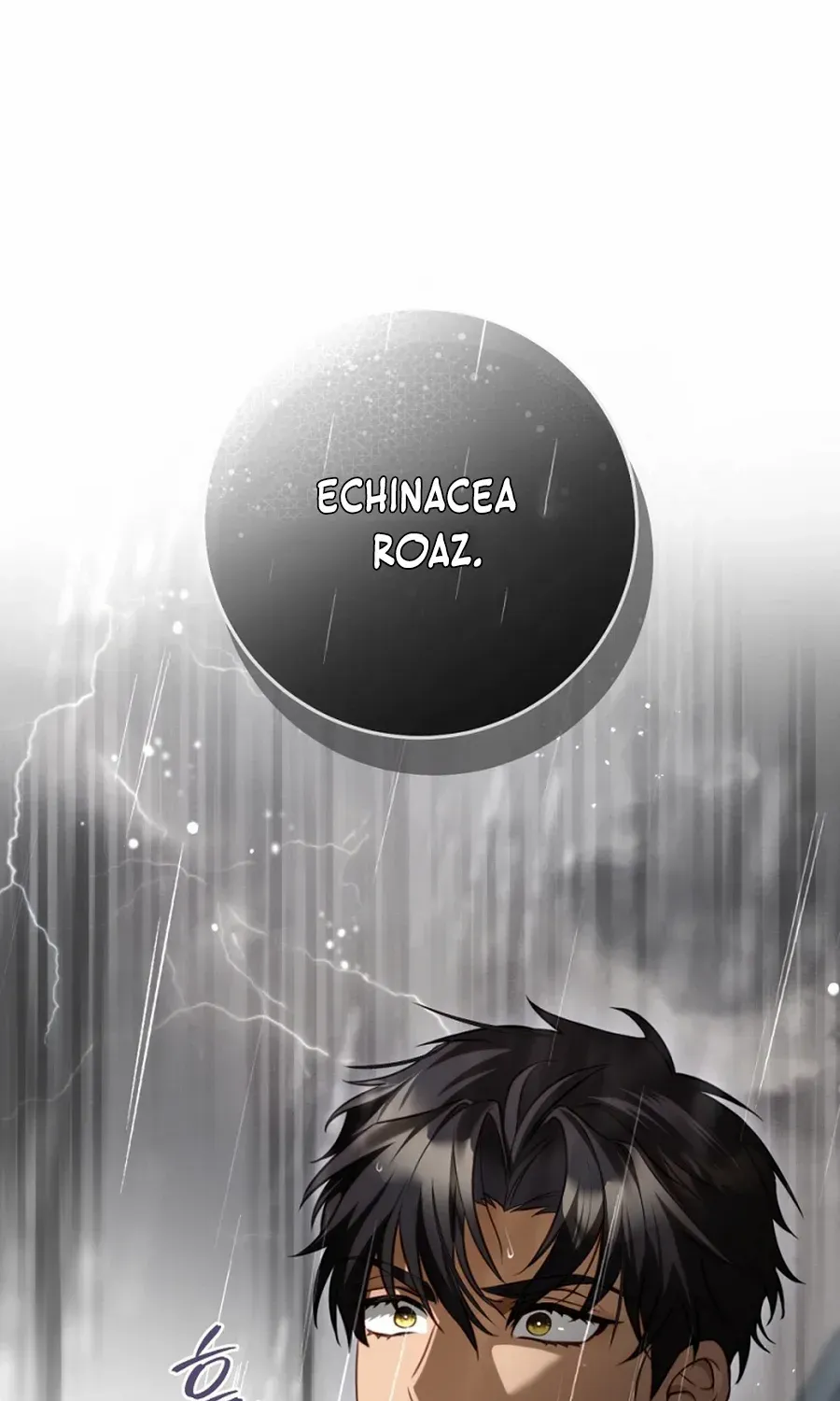 The Flower Who Bears The Sword Chapter 20 page 91 - 