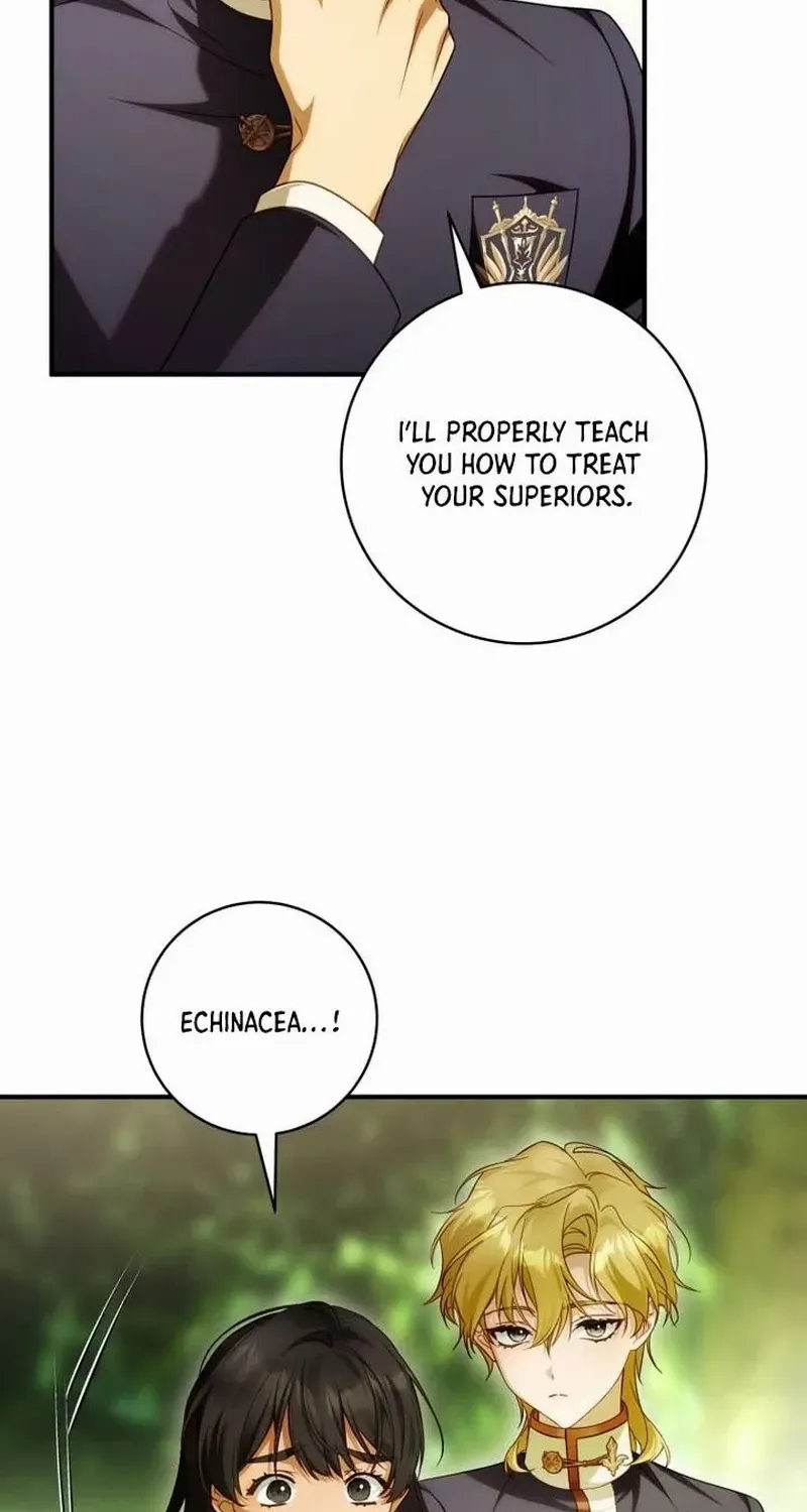 The Flower Who Bears The Sword Chapter 36 page 11 - 