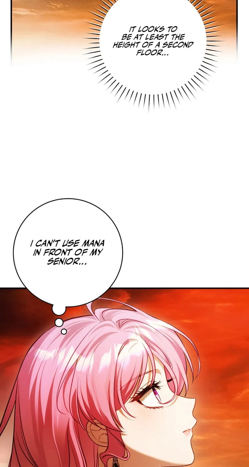 The Flower With a Sword Chapter 24 page 43 - 