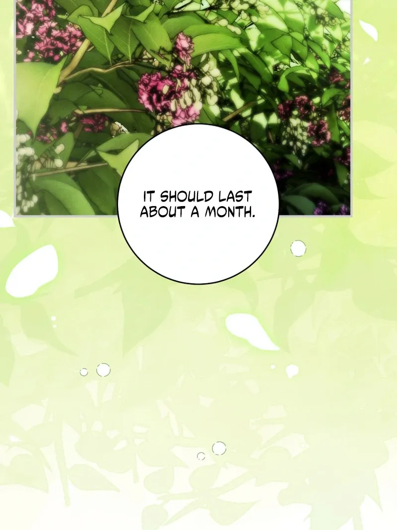The Flower With a Sword Chapter 39 page 28 - 