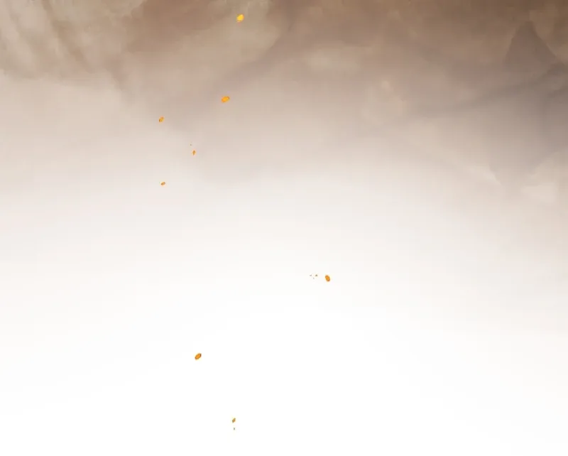 The Flower With a Sword Chapter 44 page 29 - 