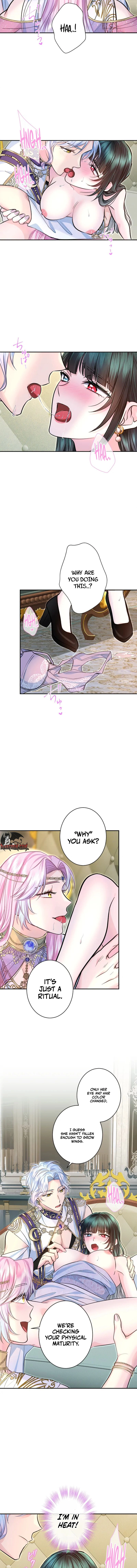 The Forbidden Girl Chapter 100 page 13 - 