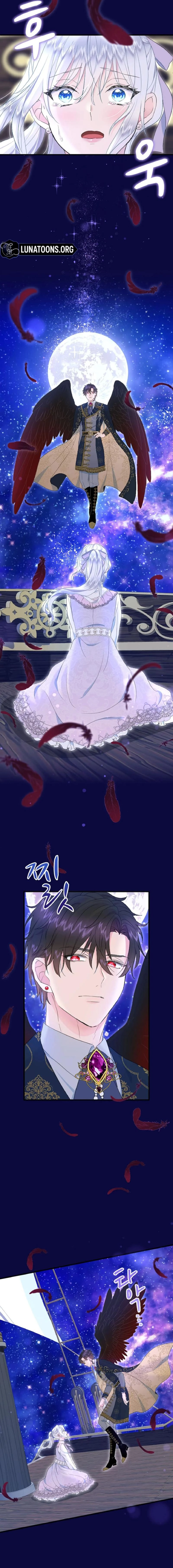 The Forbidden Girl Chapter 66 page 13 - 