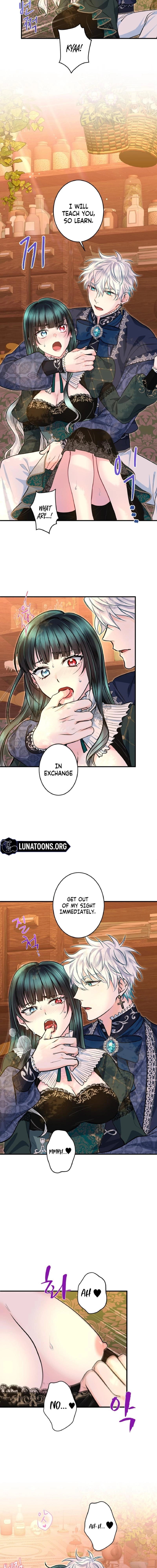 The Forbidden Girl Chapter 77 page 12 - 
