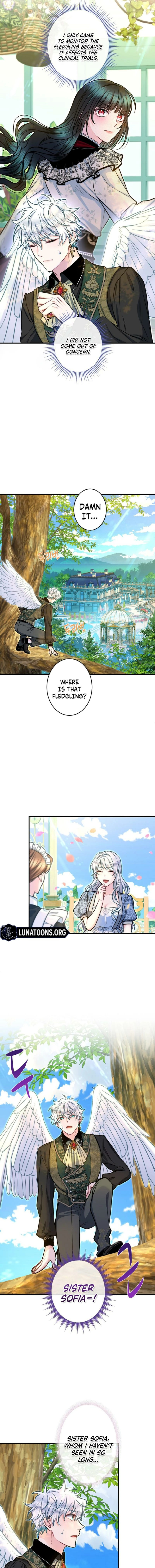 The Forbidden Girl Chapter 80 page 9 - 
