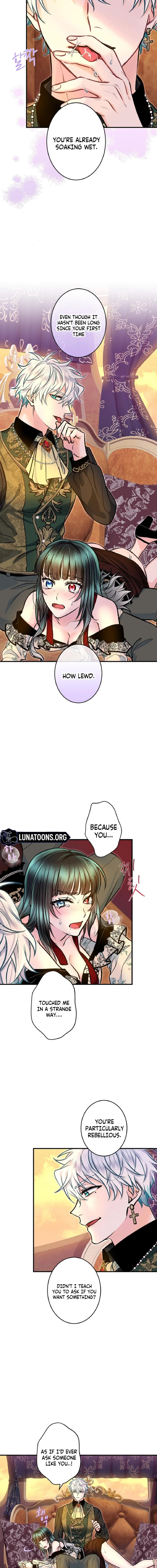 The Forbidden Girl Chapter 81 page 13 - 