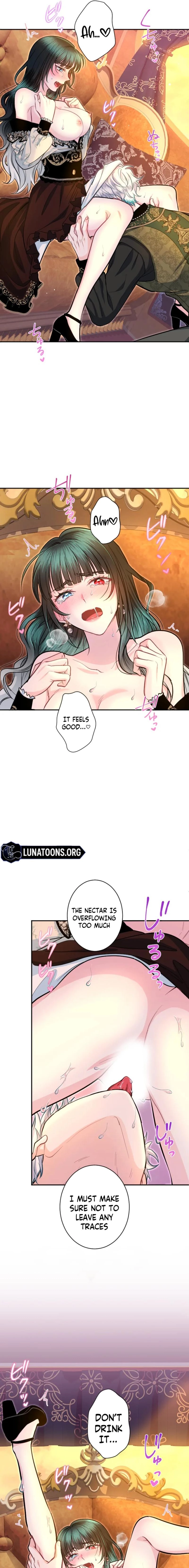 The Forbidden Girl Chapter 82 page 5 - 