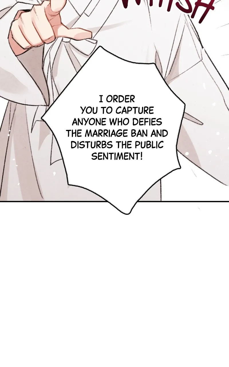 The Forbidden Marriage Chapter 2 page 47 - 