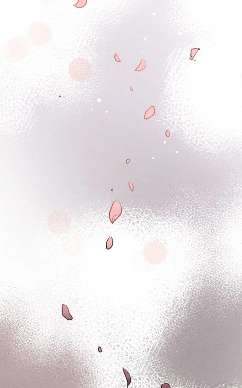 The Forbidden Marriage Chapter 20 page 47 - 