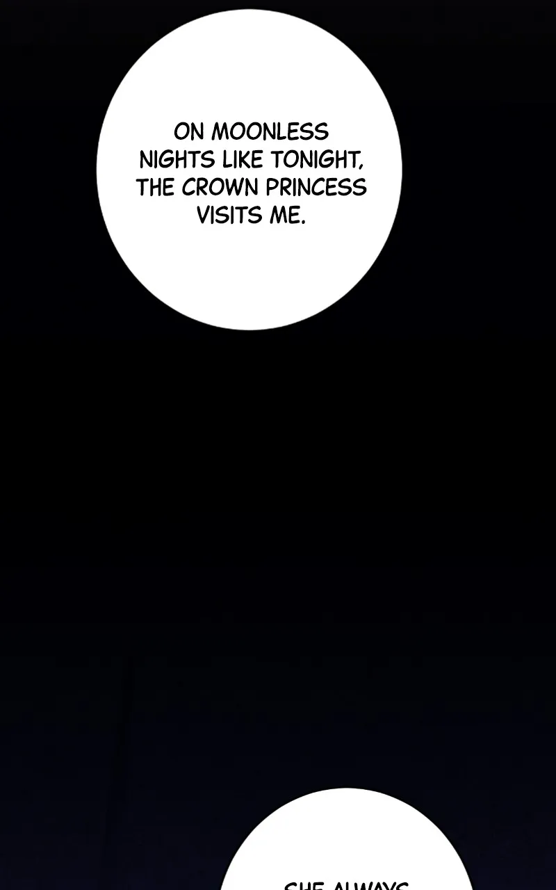 The Forbidden Marriage Chapter 5 page 19 - 